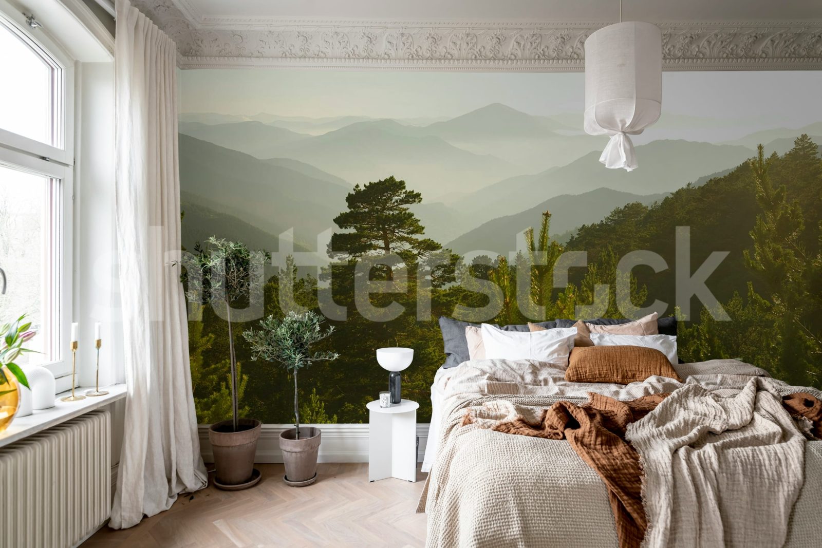 Pine Top, Day, Rebel Walls 3