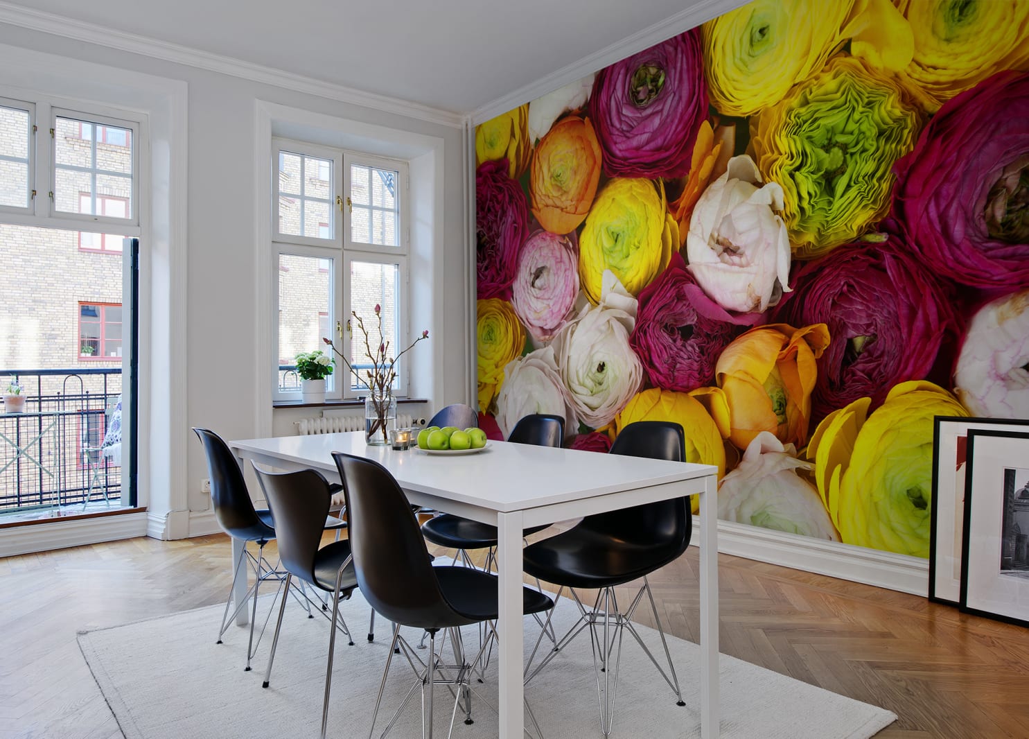 Ranunculus, Rebel Walls 4