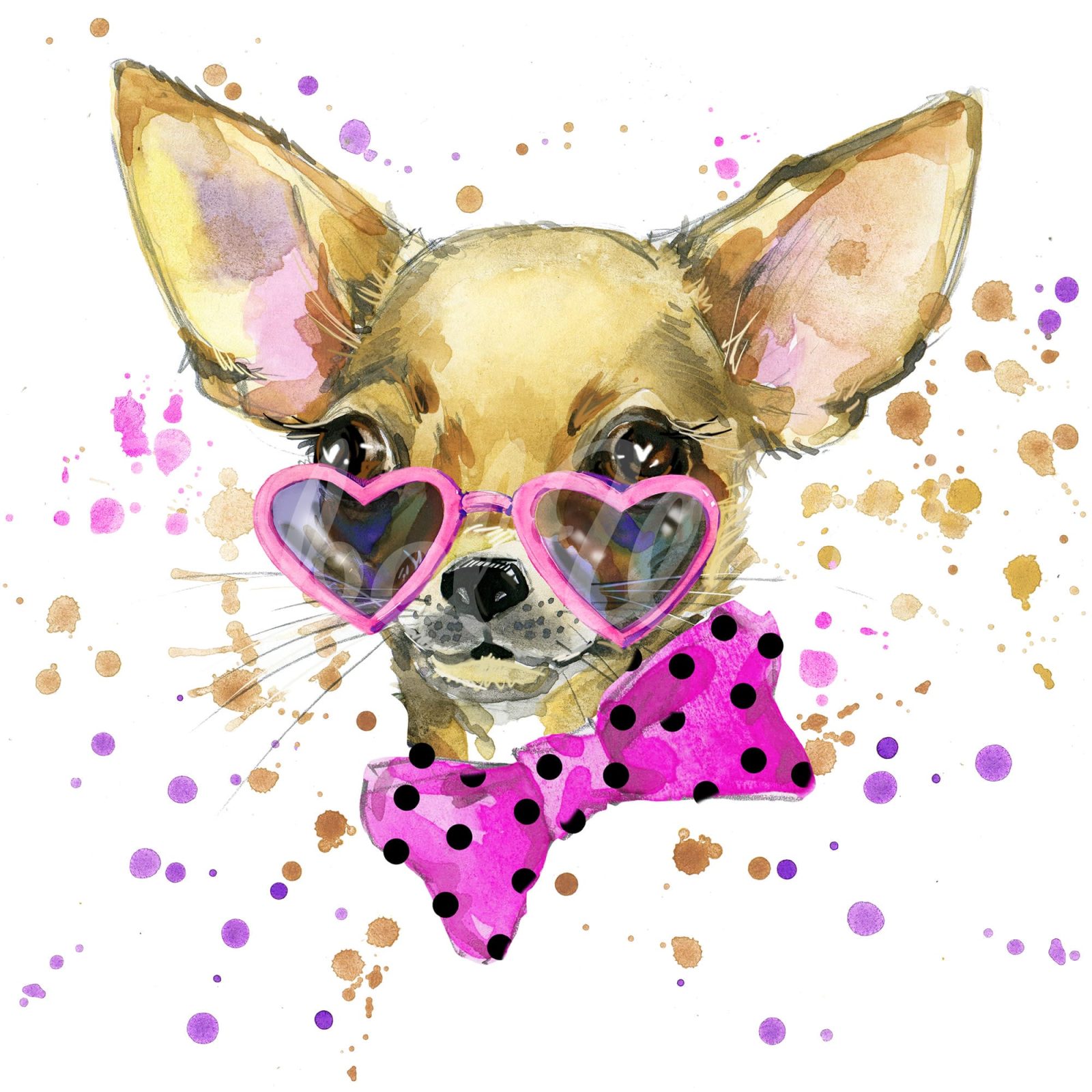 Chihuahua, Rebel Walls