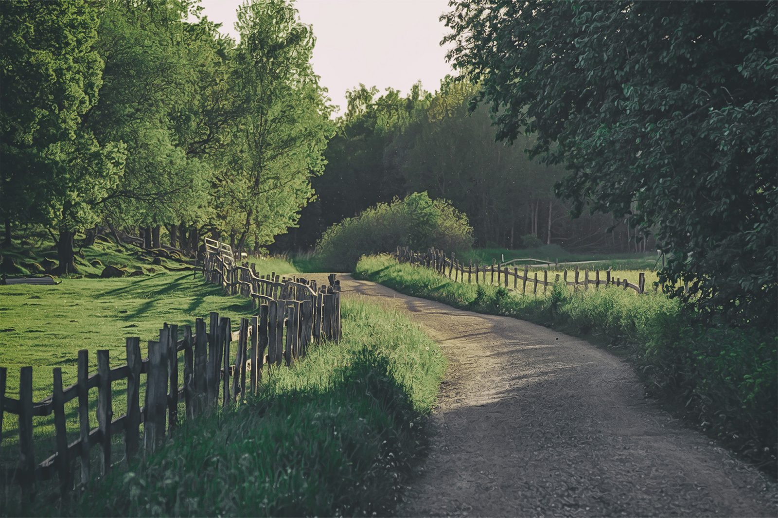 Wooden Fence, Rebel Walls