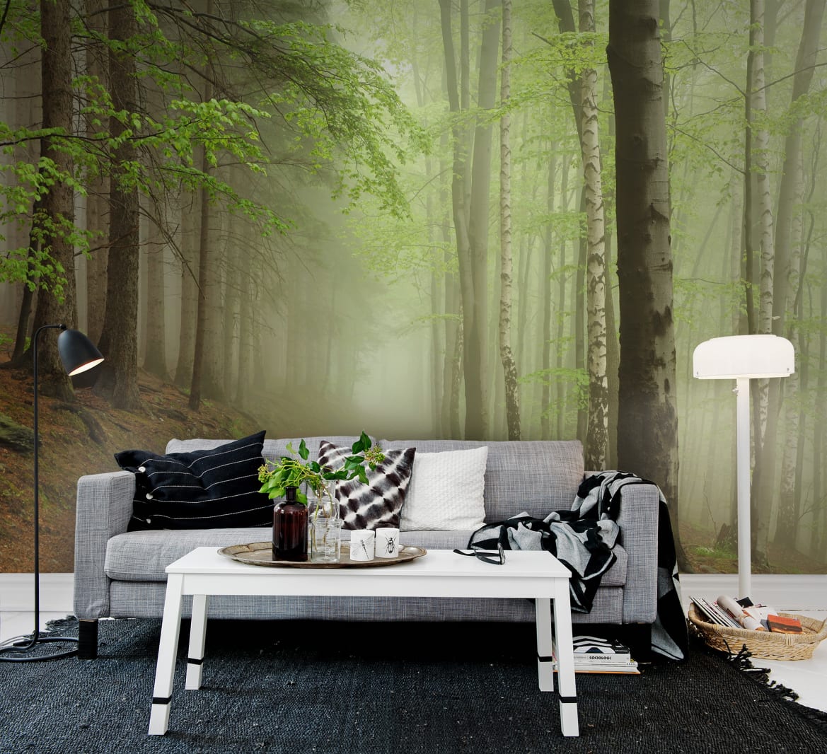 Forest Path, Rebel Walls 3