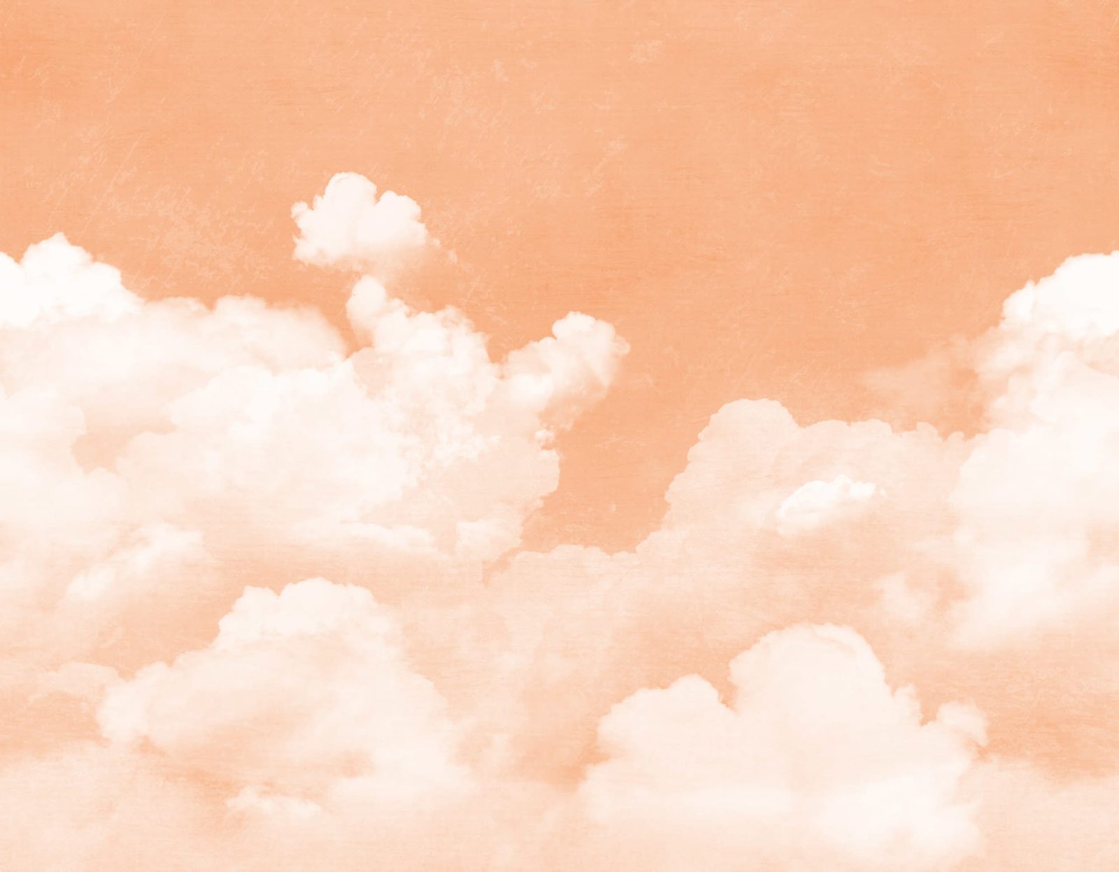 Cuddle Clouds, Peach Fuzz, Rebel Walls
