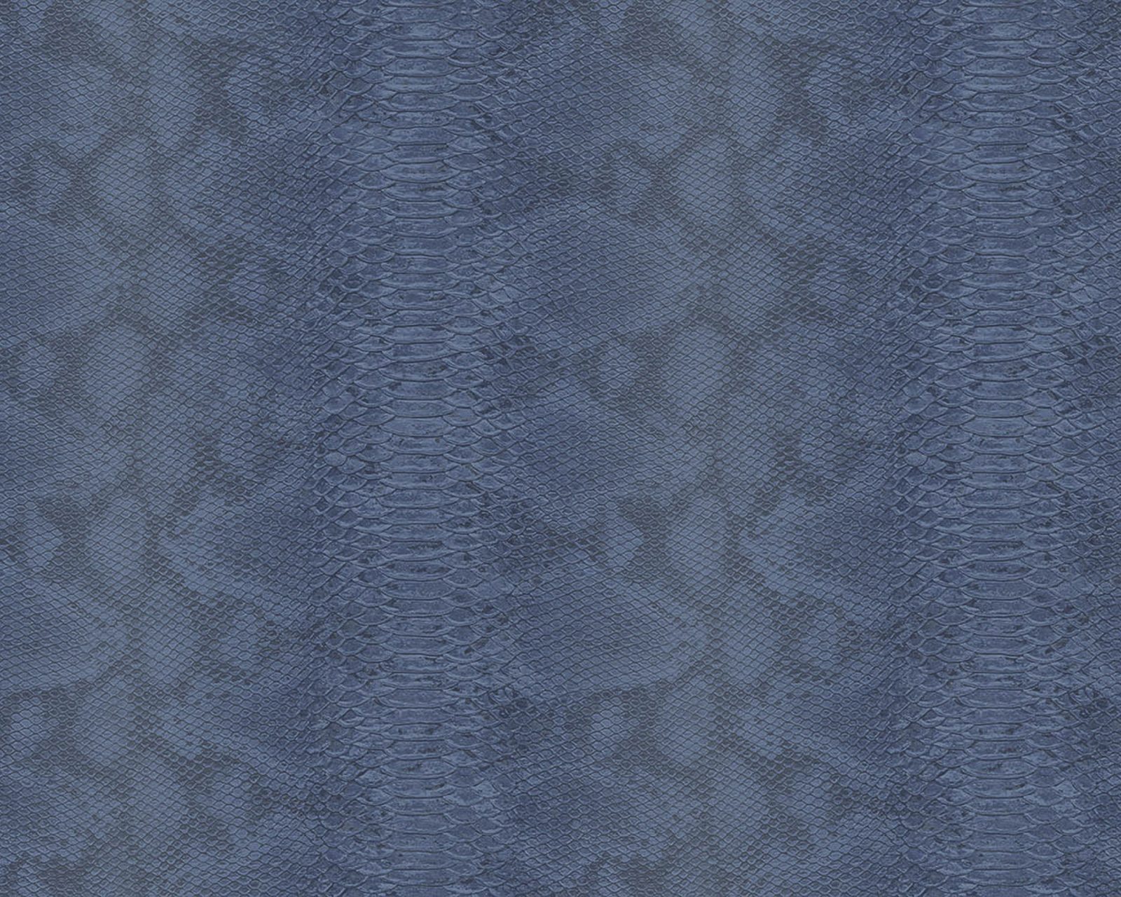 Snake Leather, 64785402, Coordonne