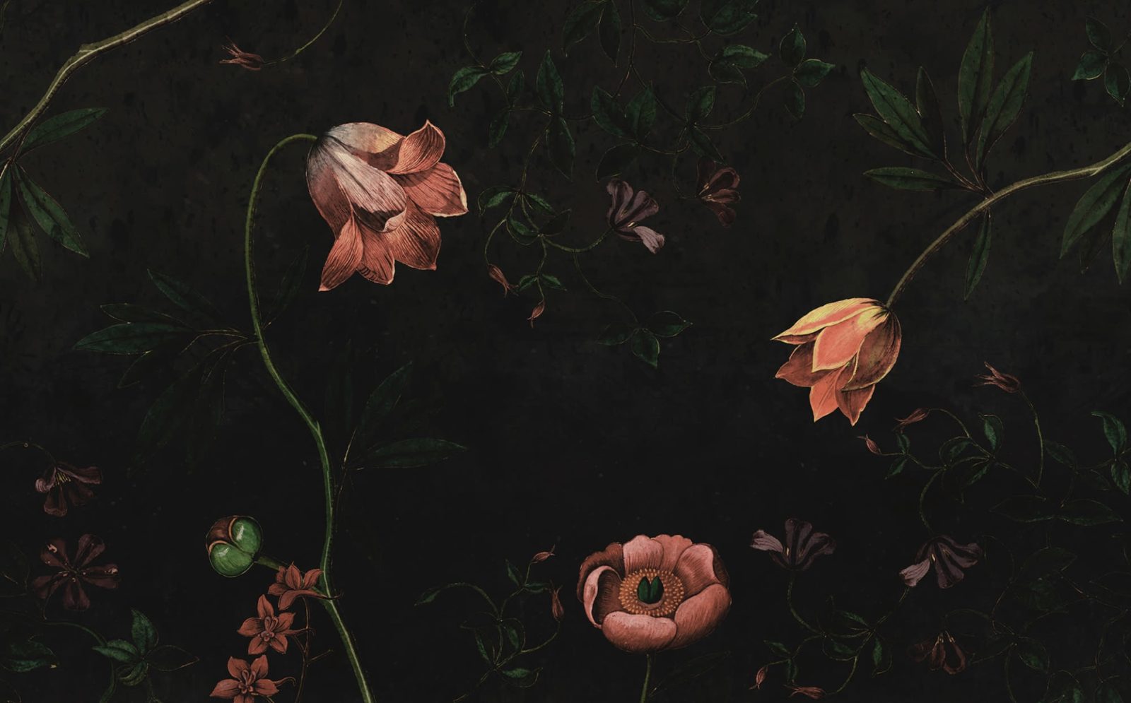 Romantic Garden, Night, Rebel Walls