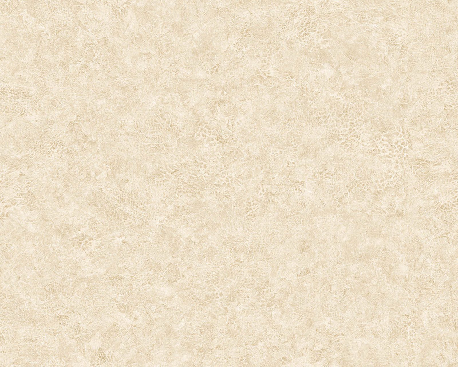 Elephant Leather, 64735625, Coordonne