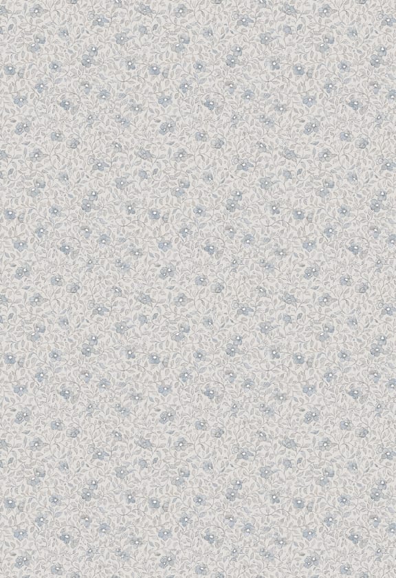 Stella Misty Blue, Sandberg, 5.3mp / rola