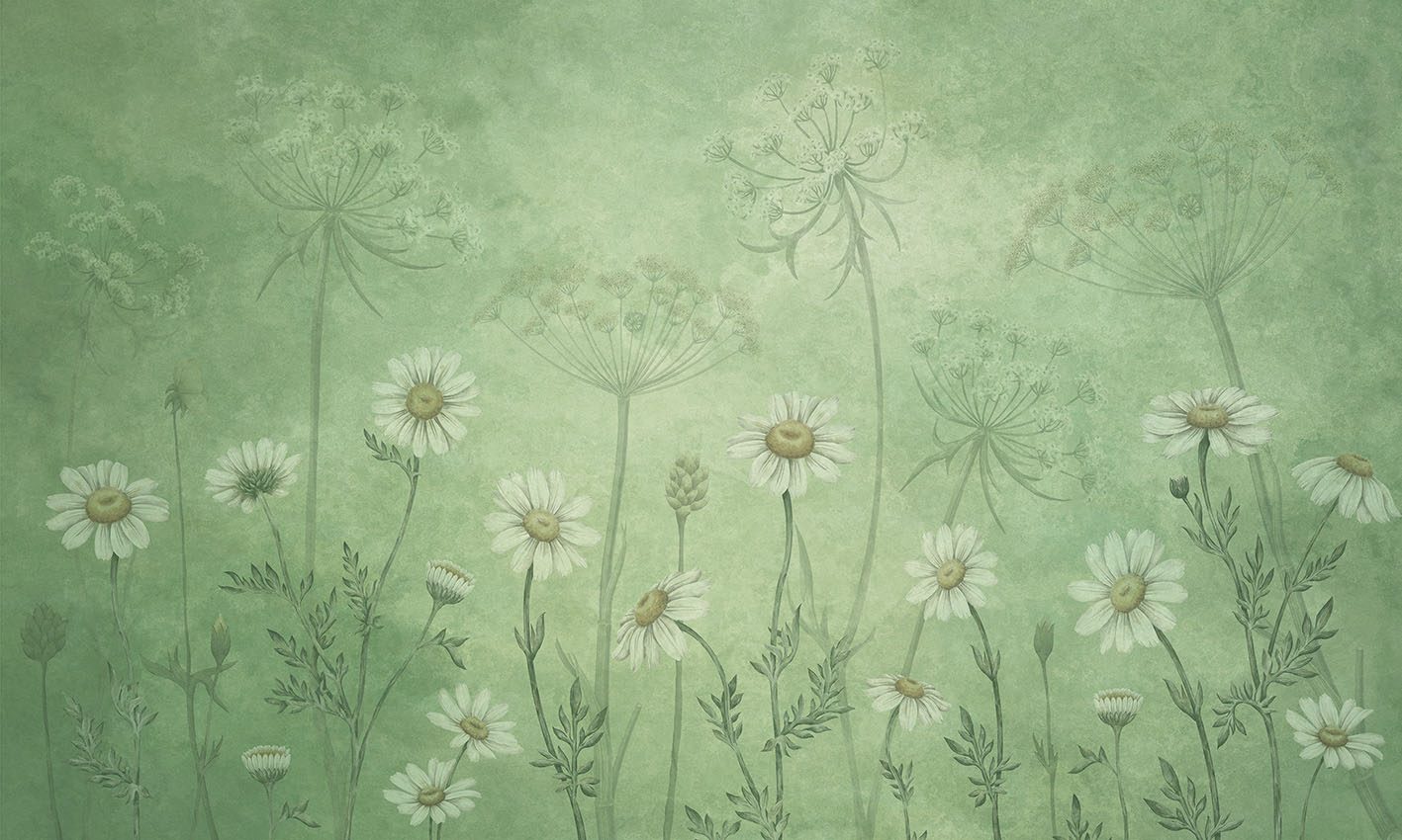 Dazzling Daisies - Green, Sir Edward