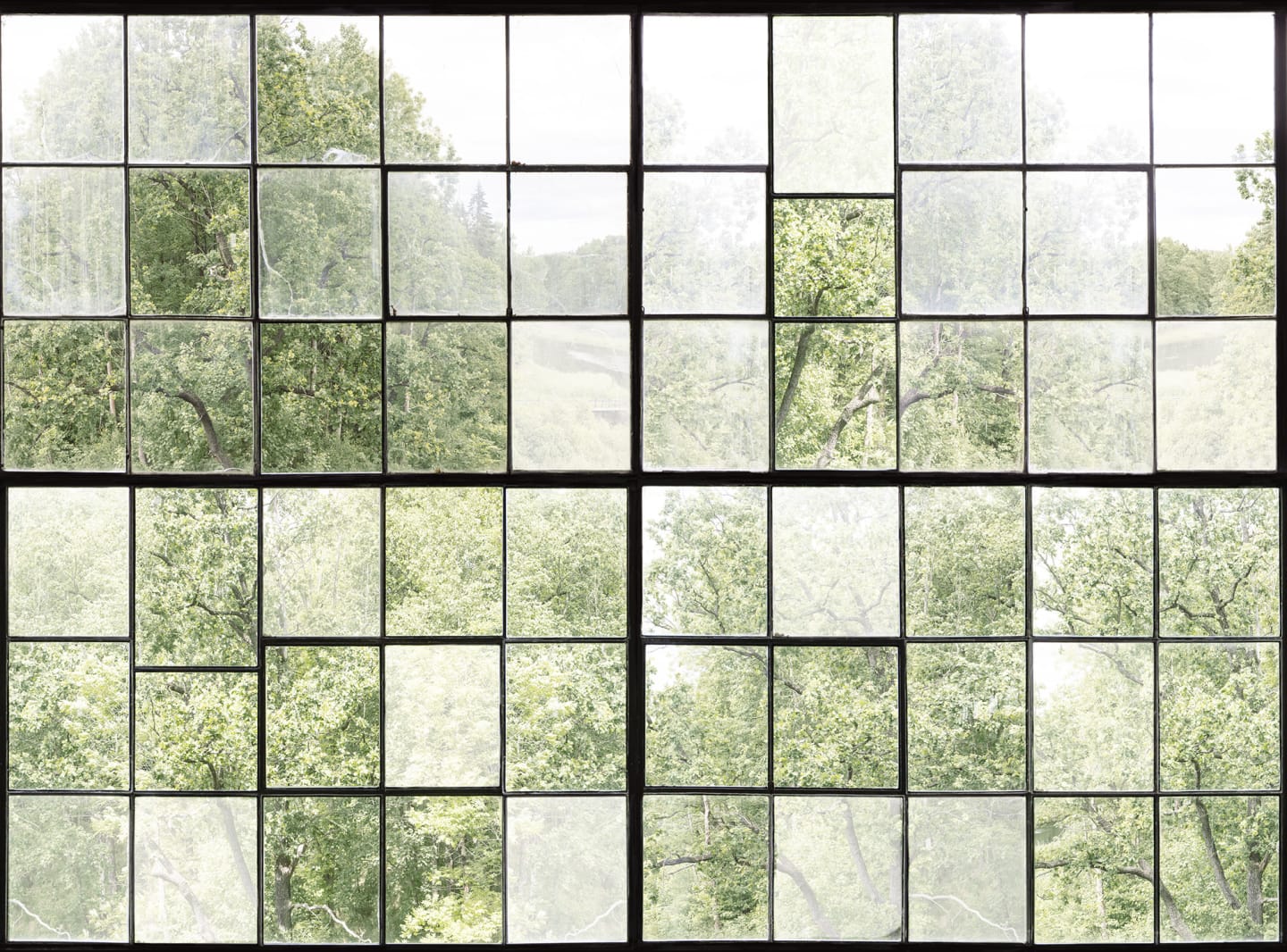 Factory Window, Rebel Walls