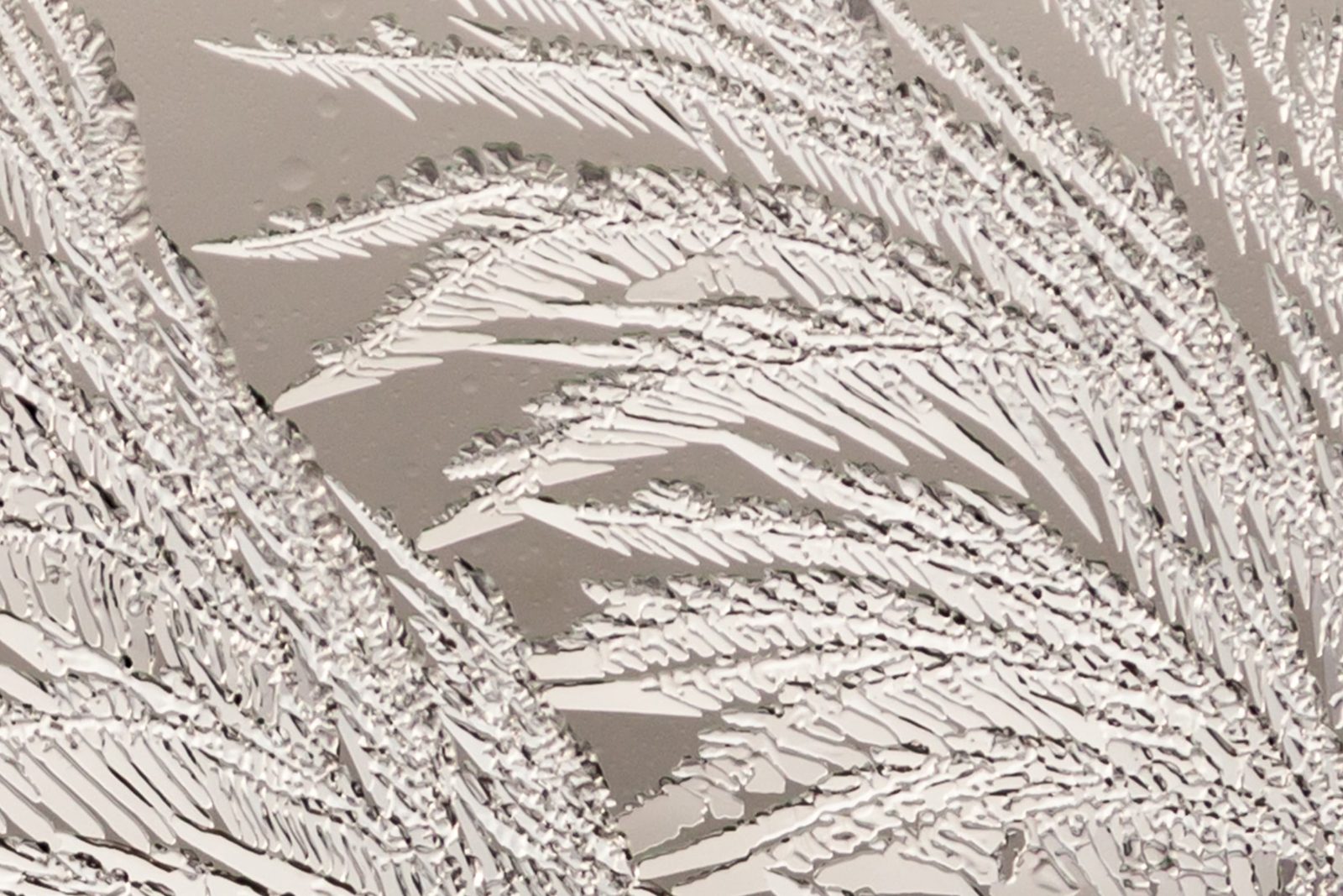 Ice Crystals, Rebel Walls 3