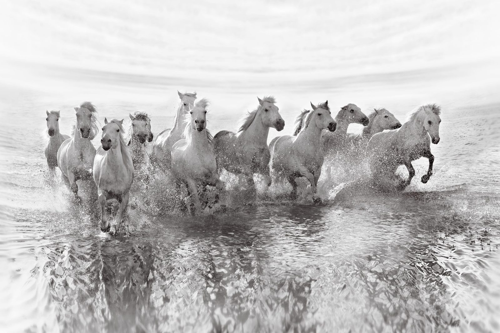 Running Horses, Rebel Walls