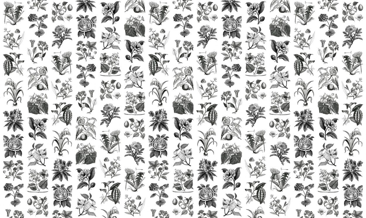Fruit & Flora, Rebel Walls 3