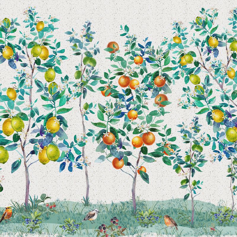 Citrus Garden, VLAdiLA