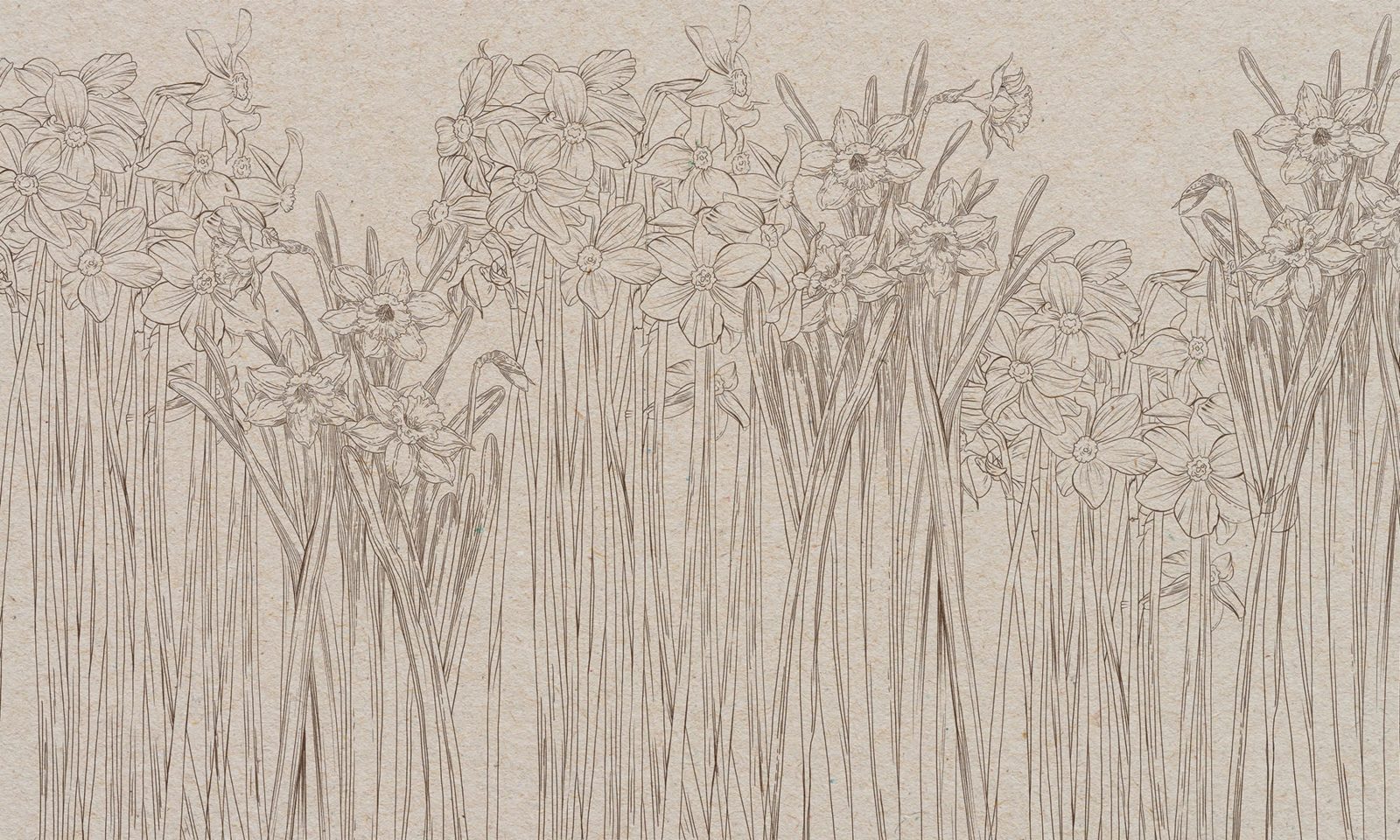 Daffodil, Beige, Rebel Walls