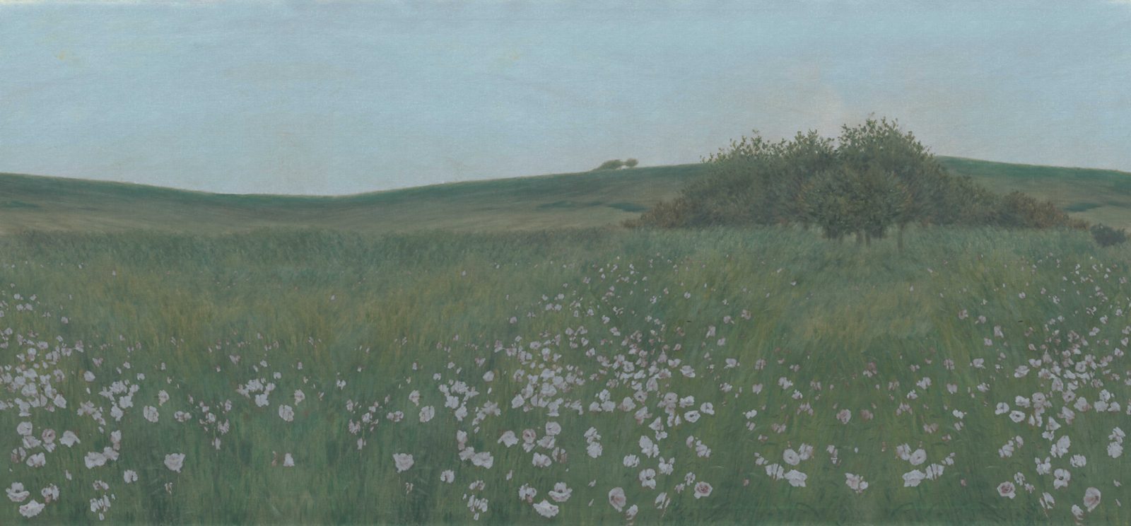 Poppy Landscape, Dusk, Rebel Walls