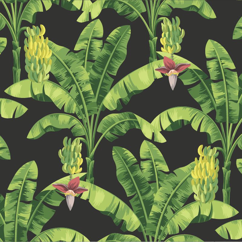 Banana leaf, VLAdiLA