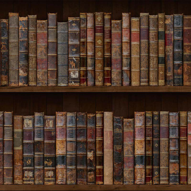 Library Style, VLAdiLA