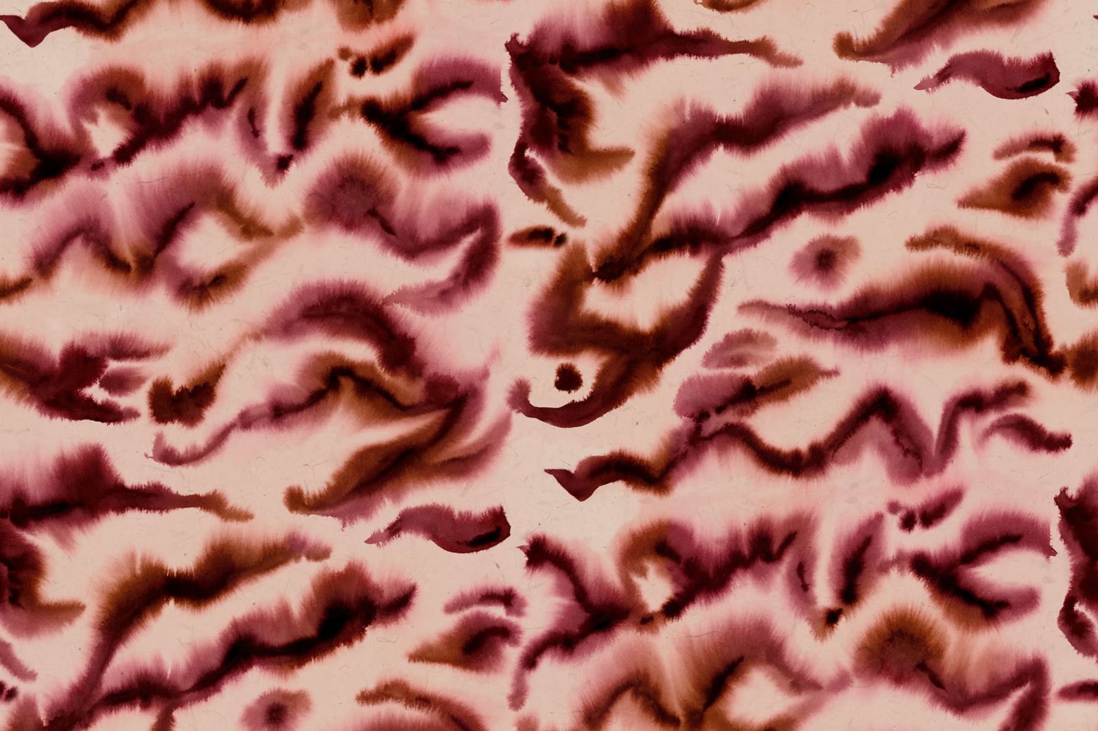 Guppy, Red, Rebel Walls