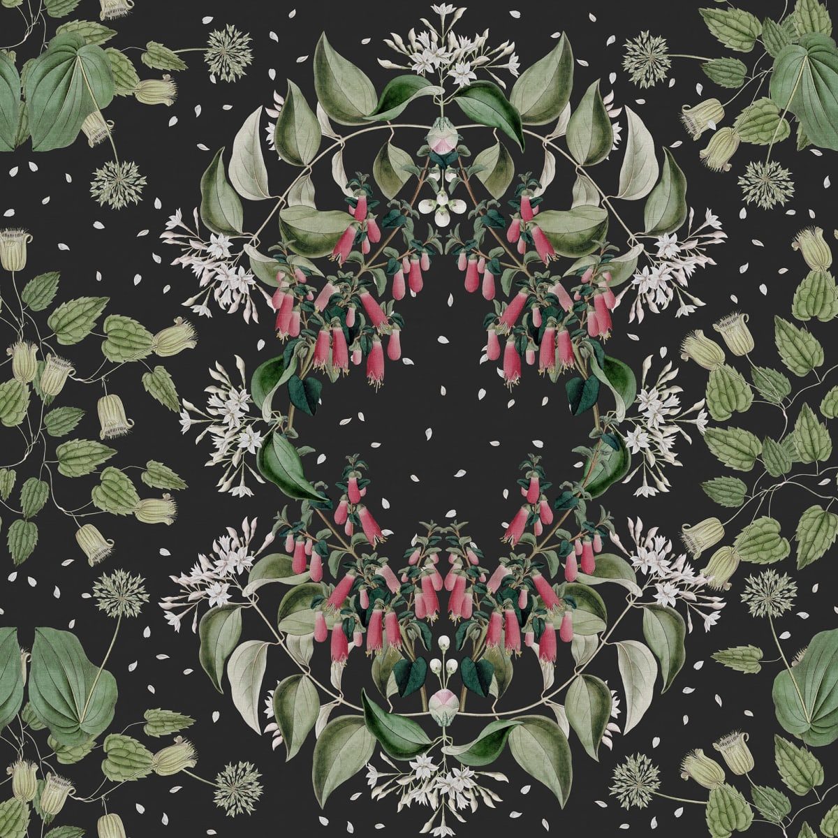 Lotus, Black, Rebel Walls