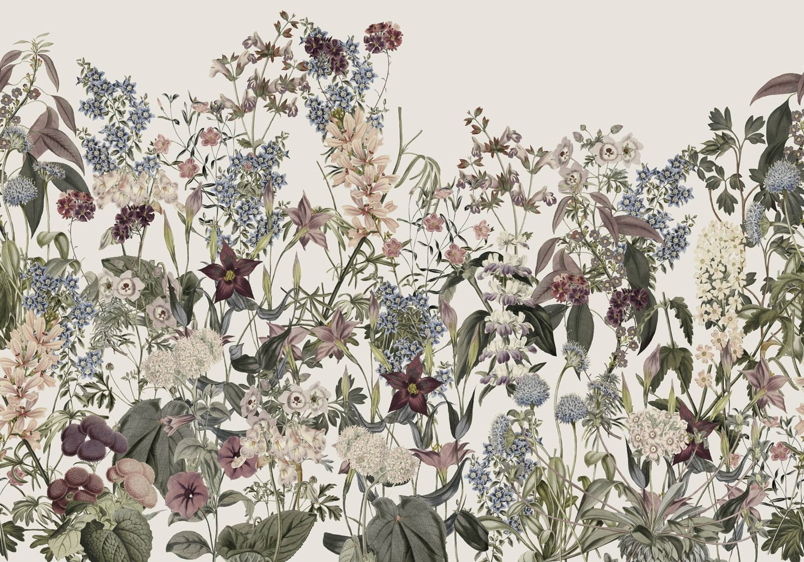 Summerland, White, Rebel Walls
