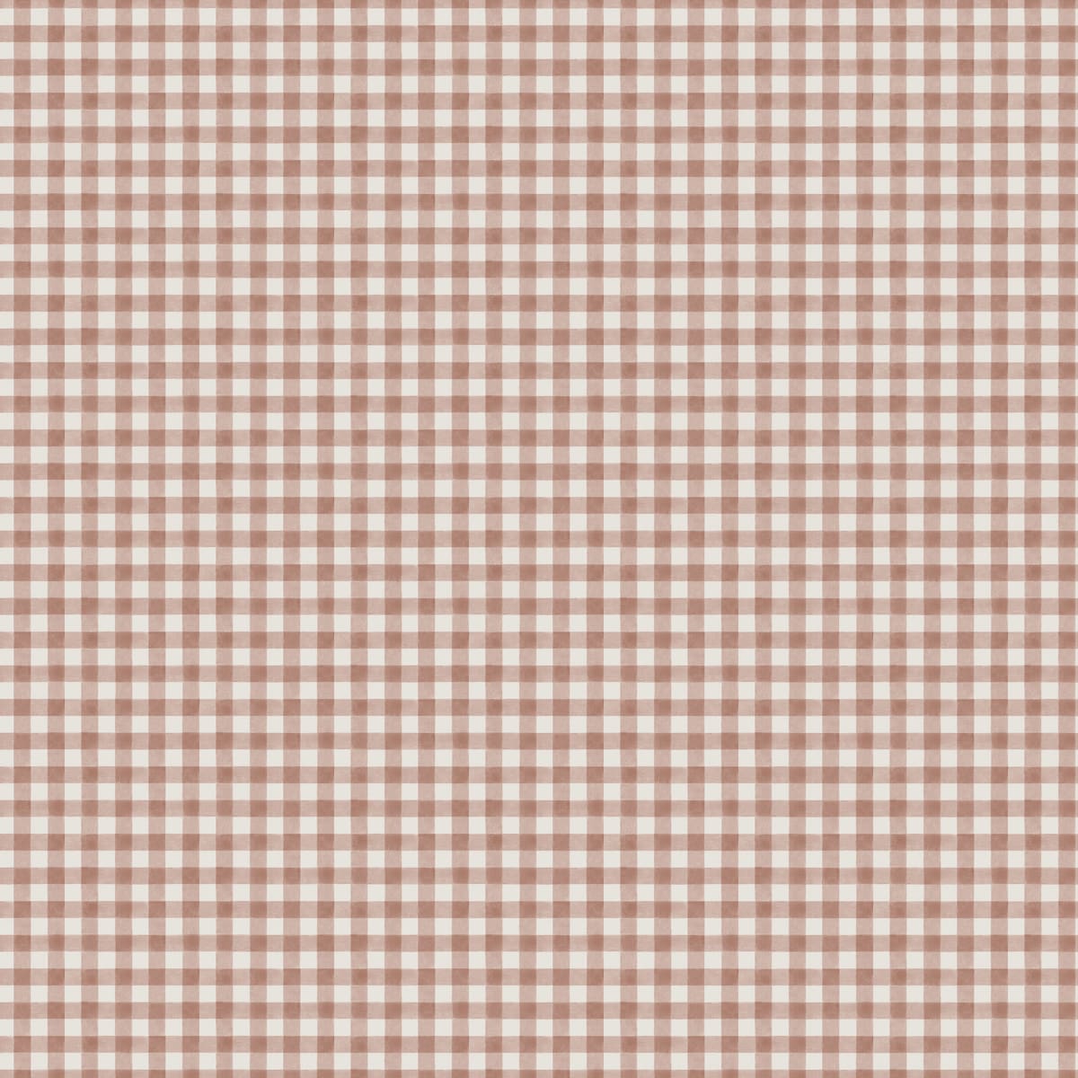 Ruta Terracotta, Sandberg, 5.3mp / rola
