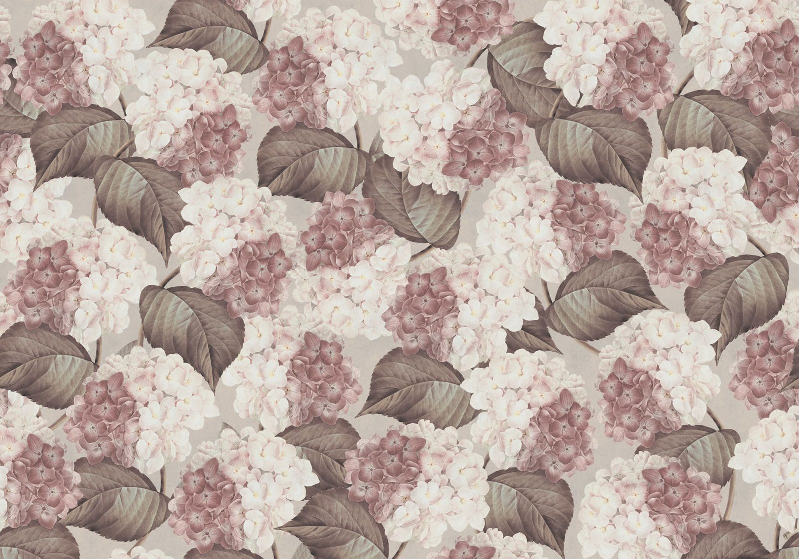 Hydrangea, Sand, Rebel Walls