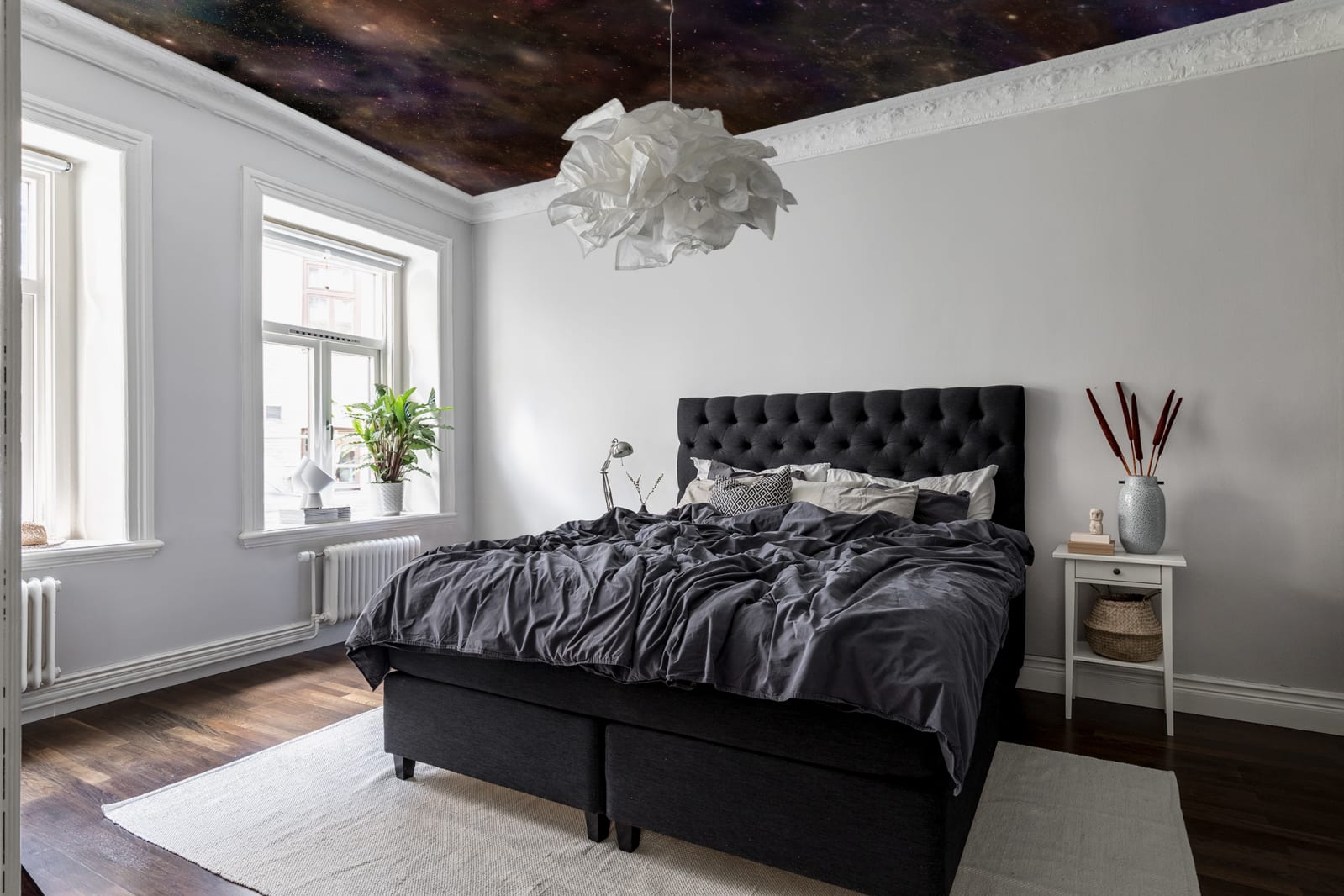 Star Galaxy, Rebel Walls 4