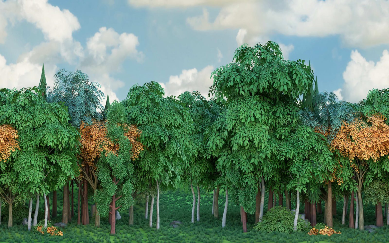 Gaming Woods, Fall, Rebel Walls