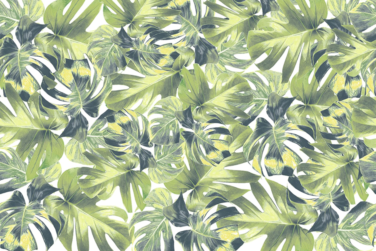 Welcome To The Jungle, Rebel Walls