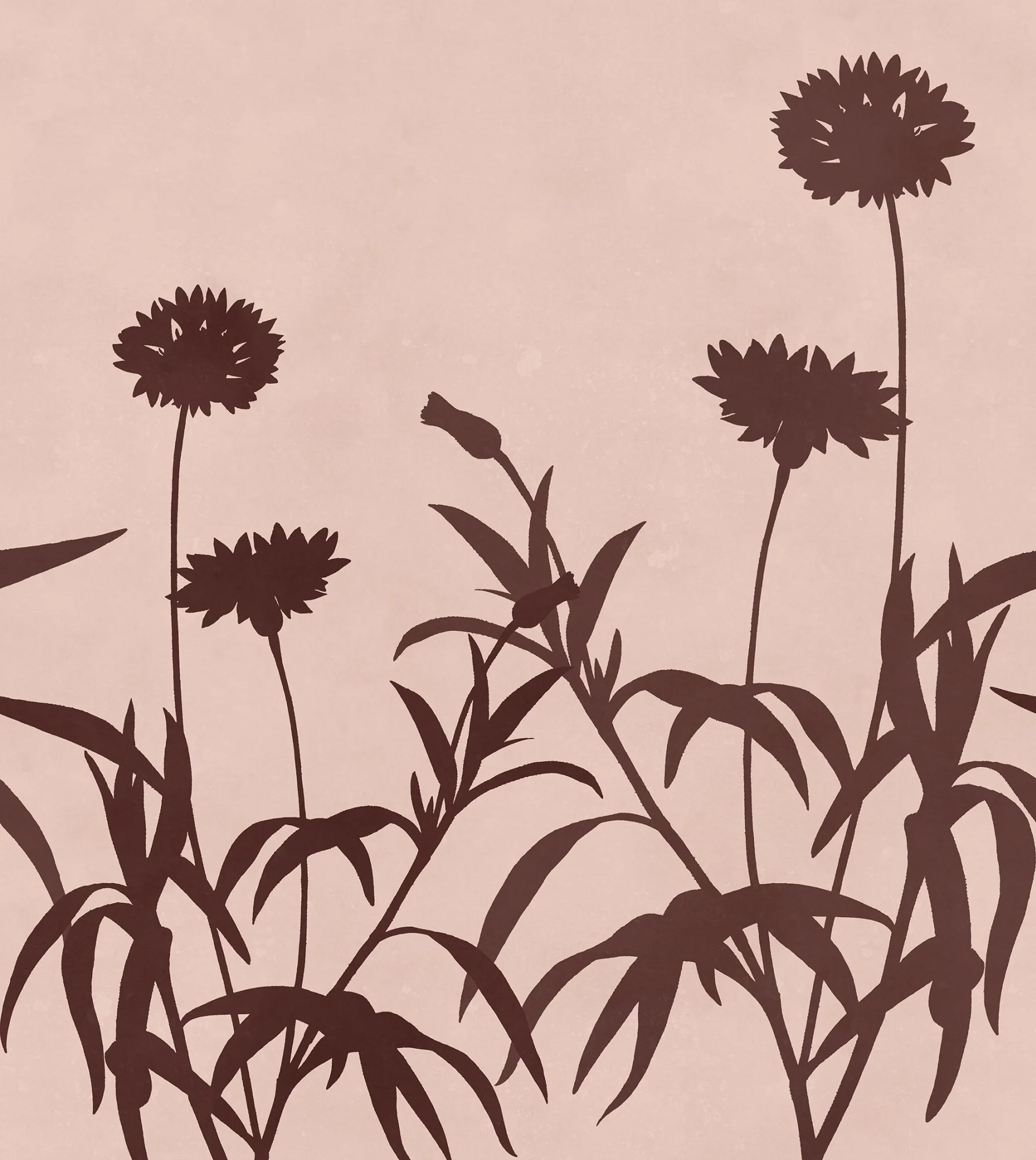 Floral Silhouette, Pink, Rebel Walls