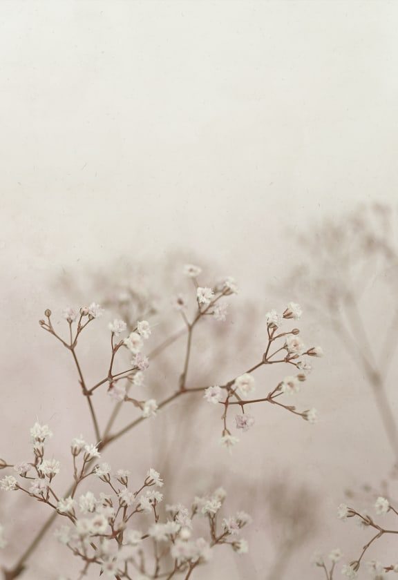 Julia Blush, Sandberg