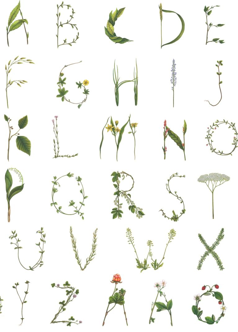 Floral Alphabet Mini, Swedish, Rebel Walls, 5 mp / rola