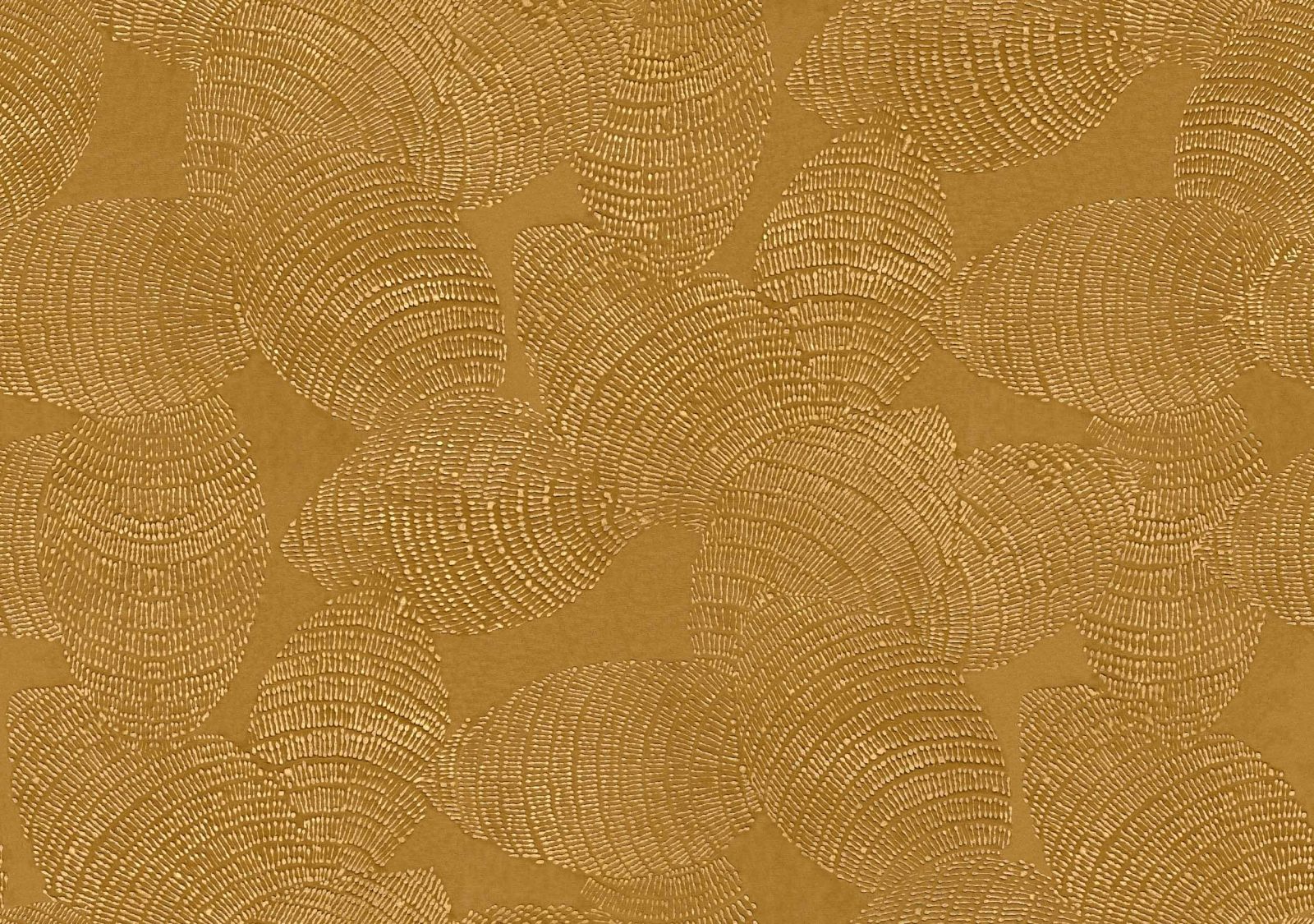Rif Relief, Sienna, Coordonne, 5.2mp / rola