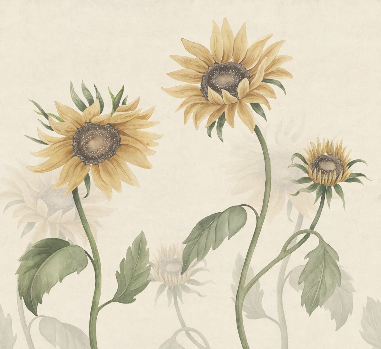 Sunflowers, Yellow, Sandberg