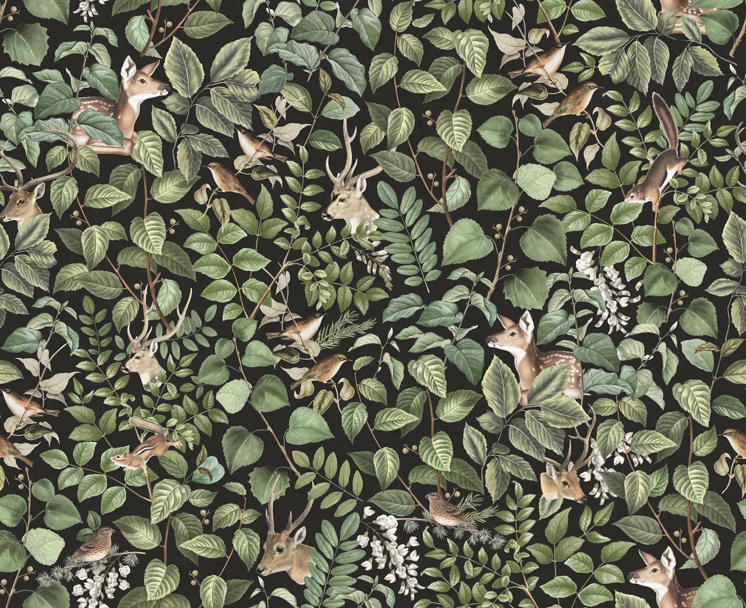 Forest Animals, Dark, Rebel Walls