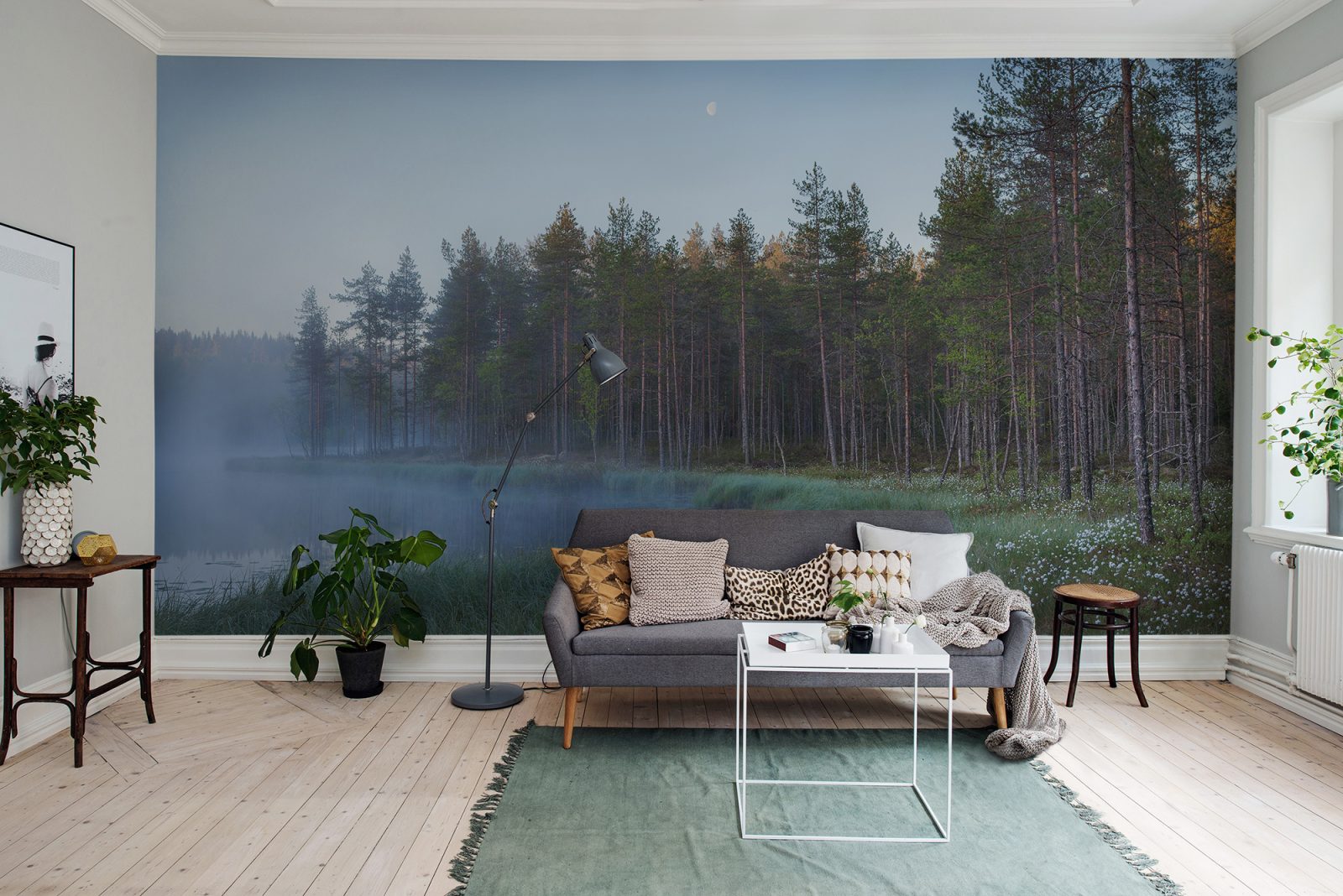Forest Lake, Rebel Walls 3