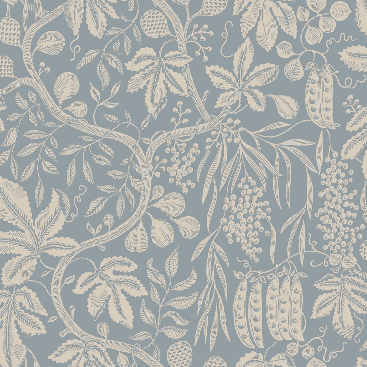 Fig Garden Misty Blue, Sandberg, 5.3mp / rola