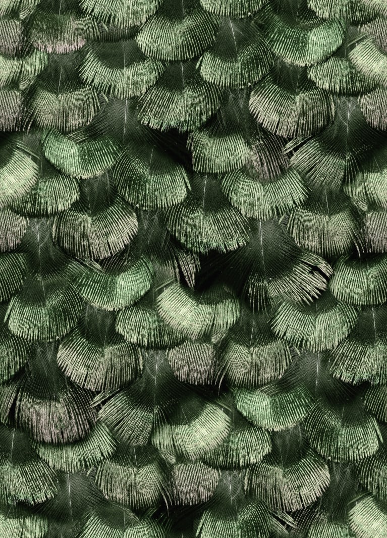 Petite Peackock Plumage, Jade, Rebel Walls, 5 mp / rola