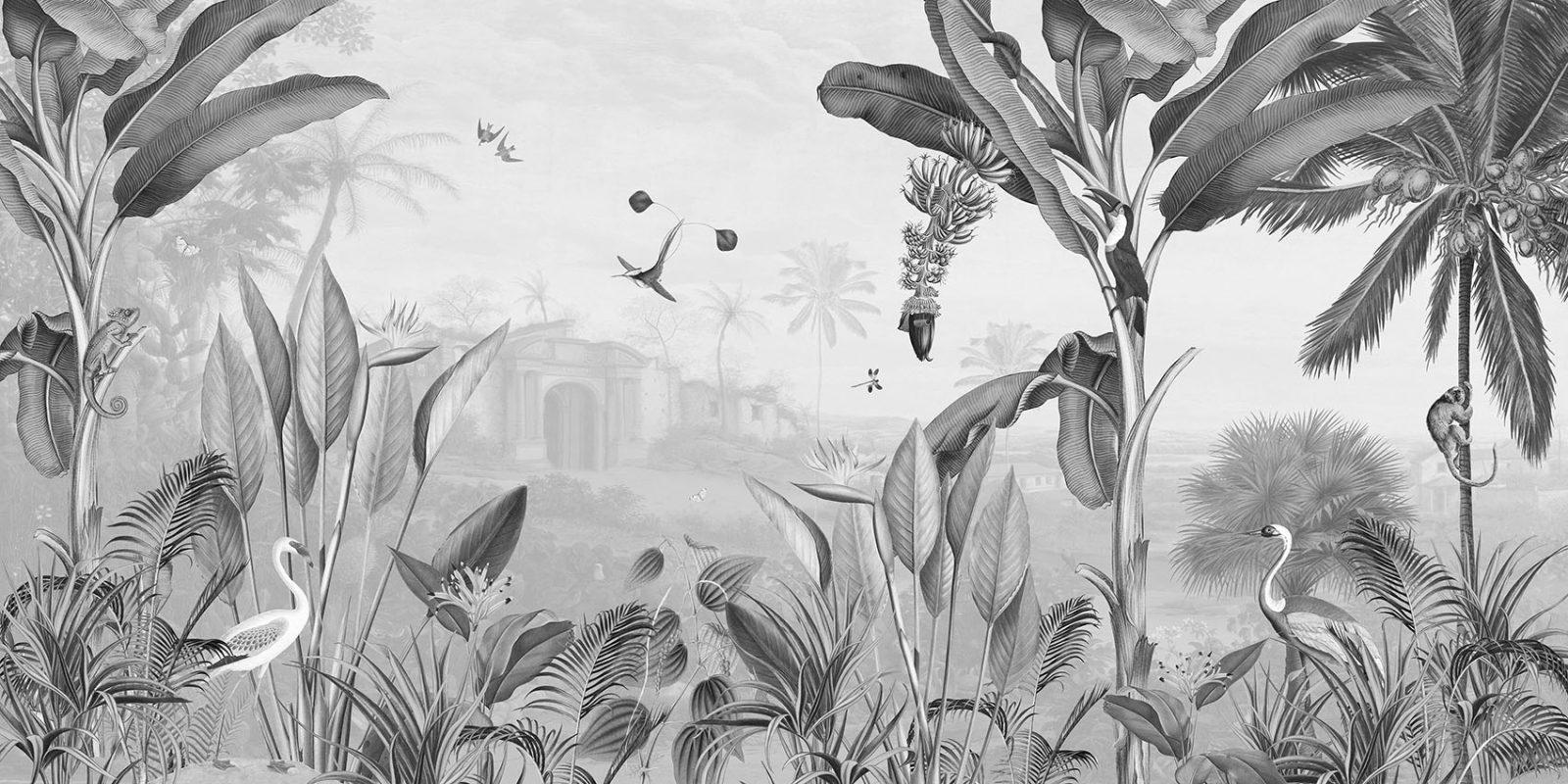 Botanical Beauty - Black and White, Sir Edward