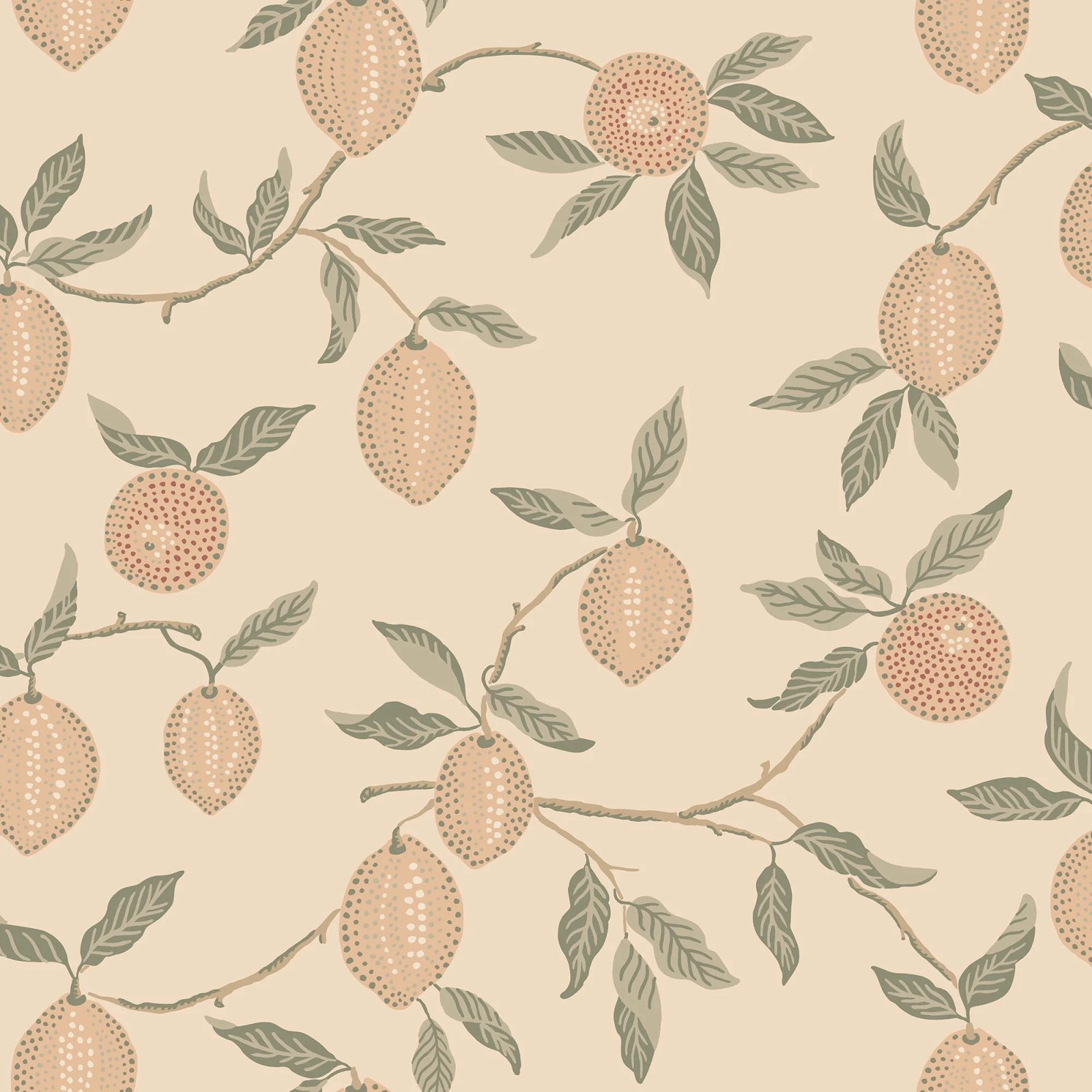Limone, Blush, Sandberg, 5.3mp / rola