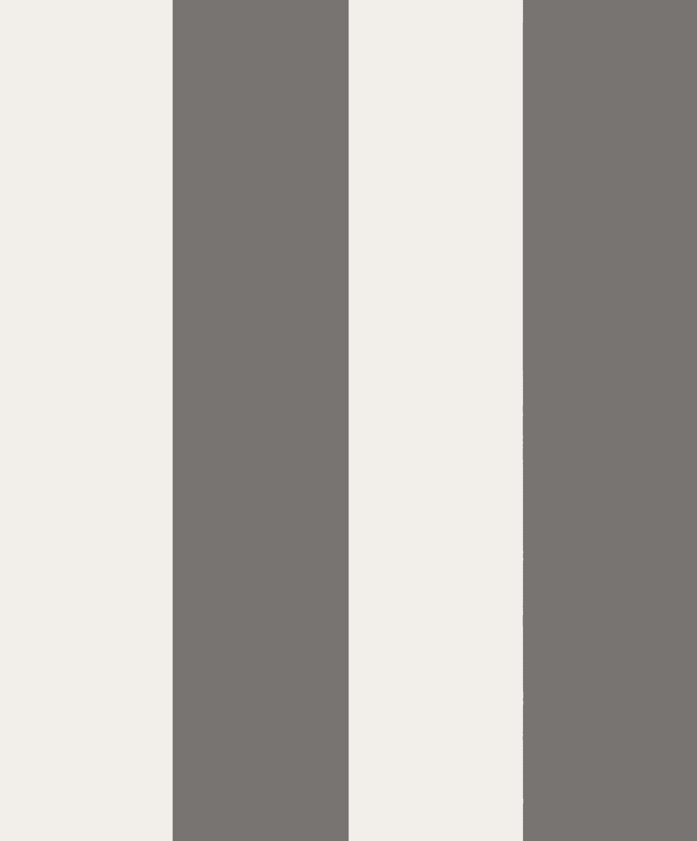 Magnus Dark Gray, Sandberg, 5.3mp / rola