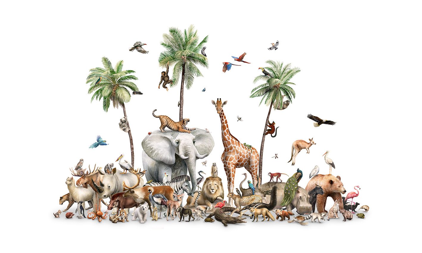Beautiful Biodiversity, Kikki Belle