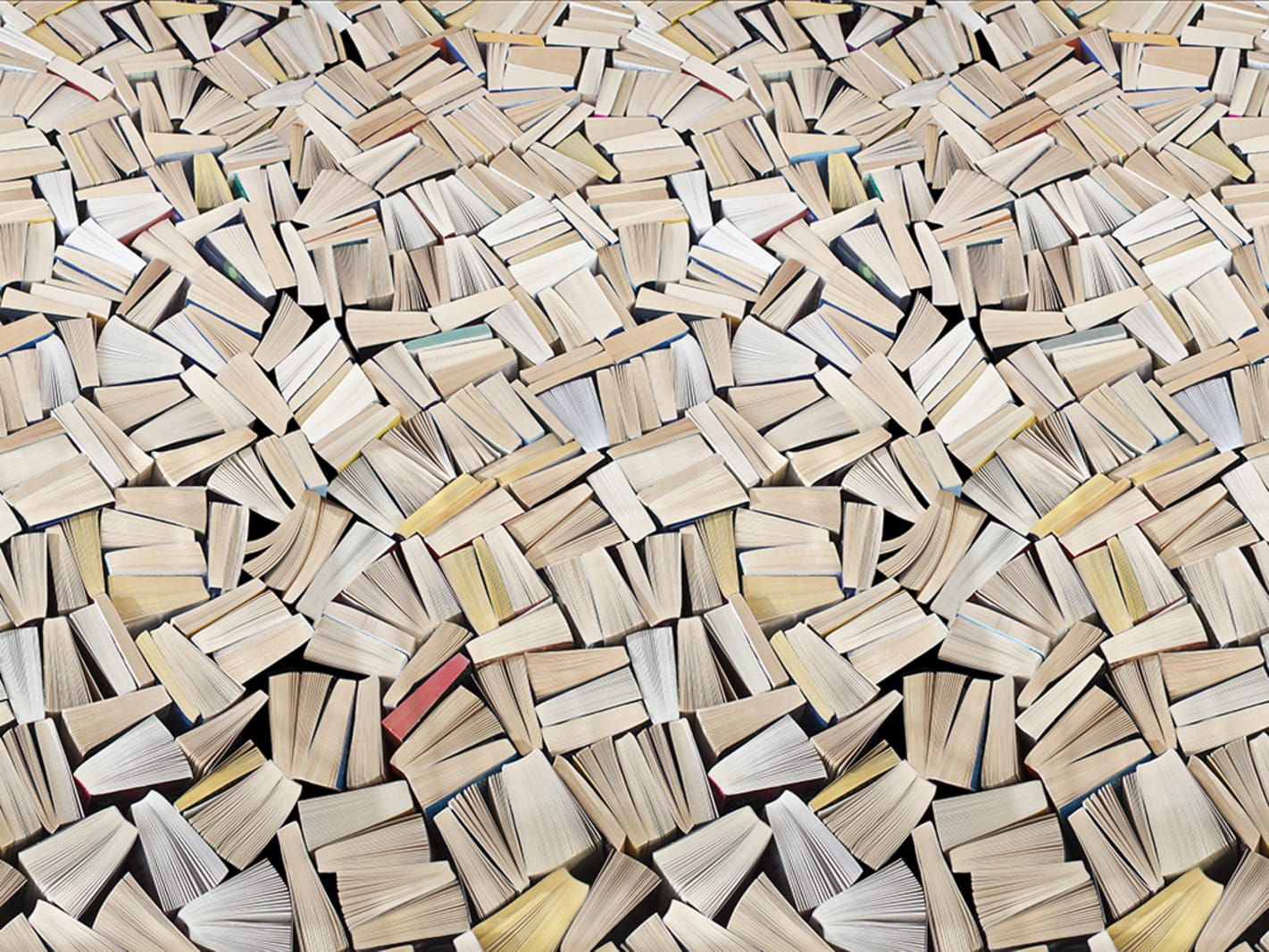 Books, Rebel Walls