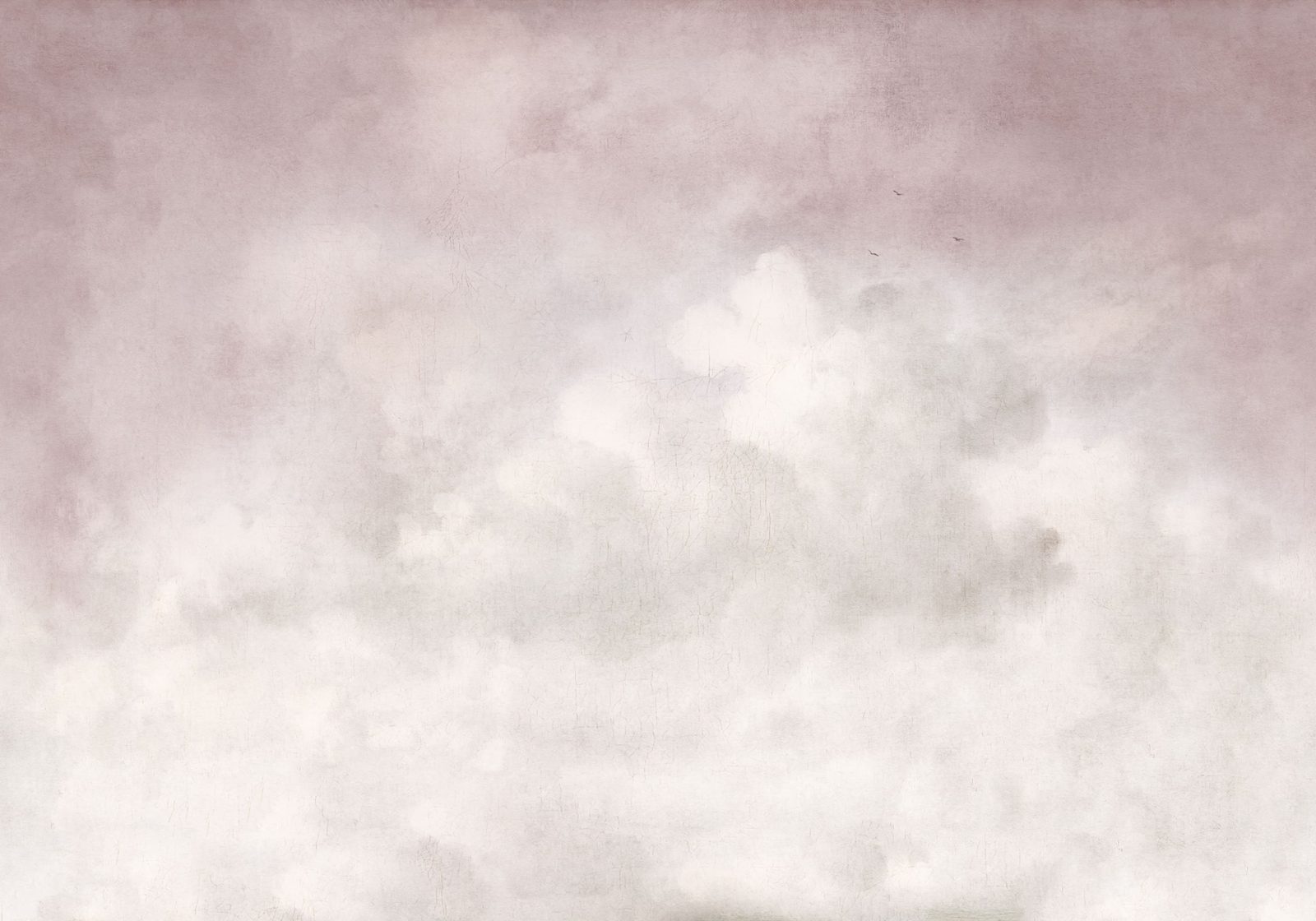 Vintage Clouds, Pink, Rebel Walls