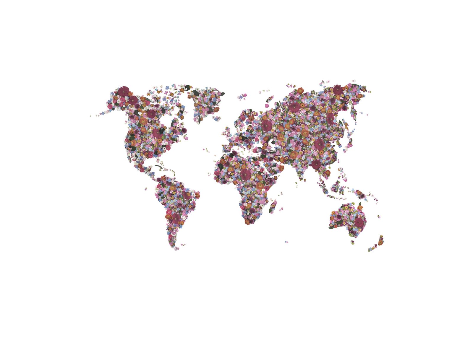Floral World, Rebel Walls