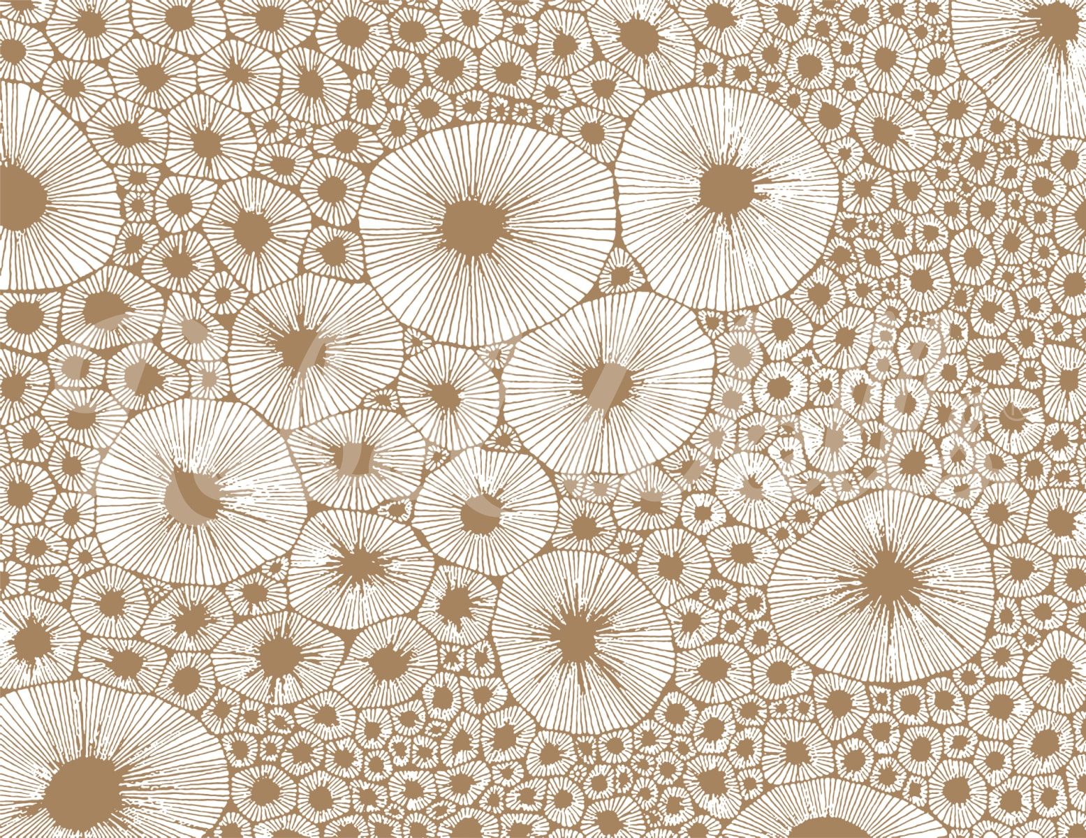 Bold Coral, Brown, Rebel Walls