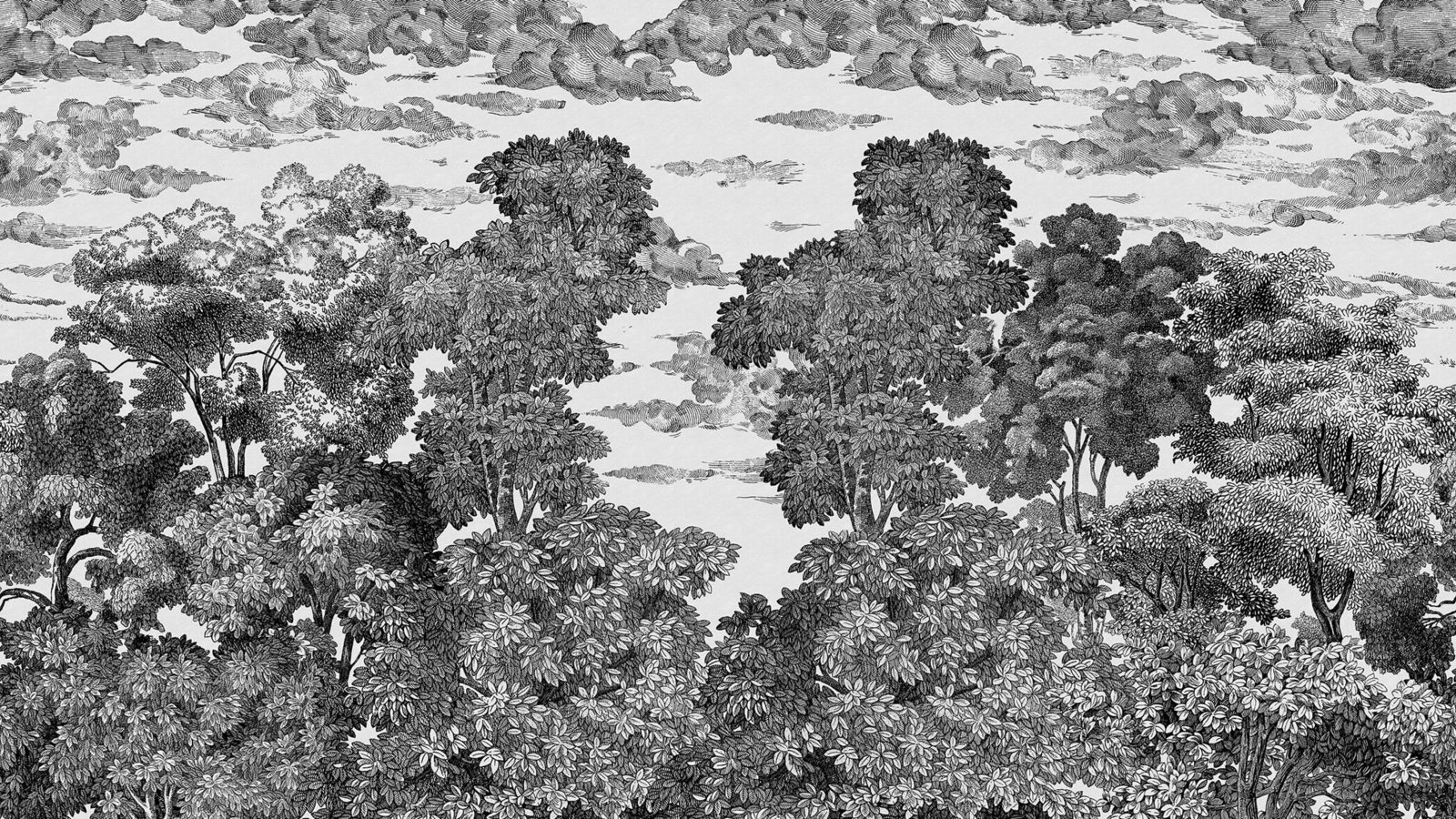 Bellewood under the Clouds, Graphite, Rebel Walls