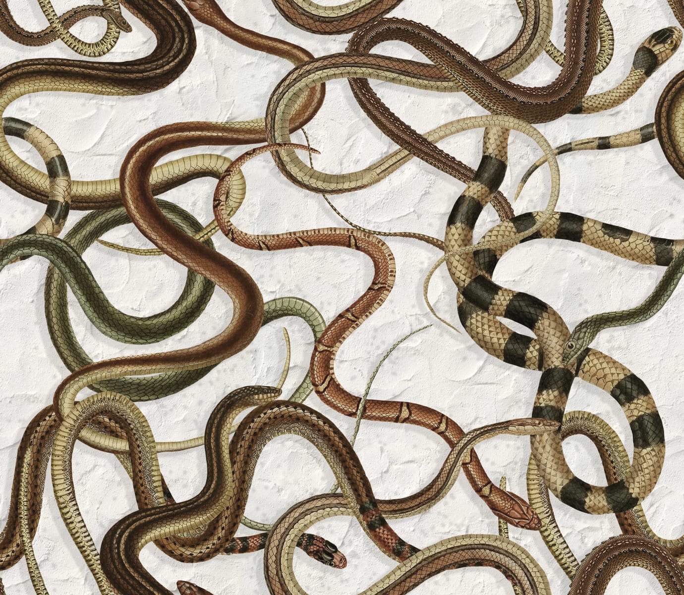 Snakey, Graphite, Rebel Walls