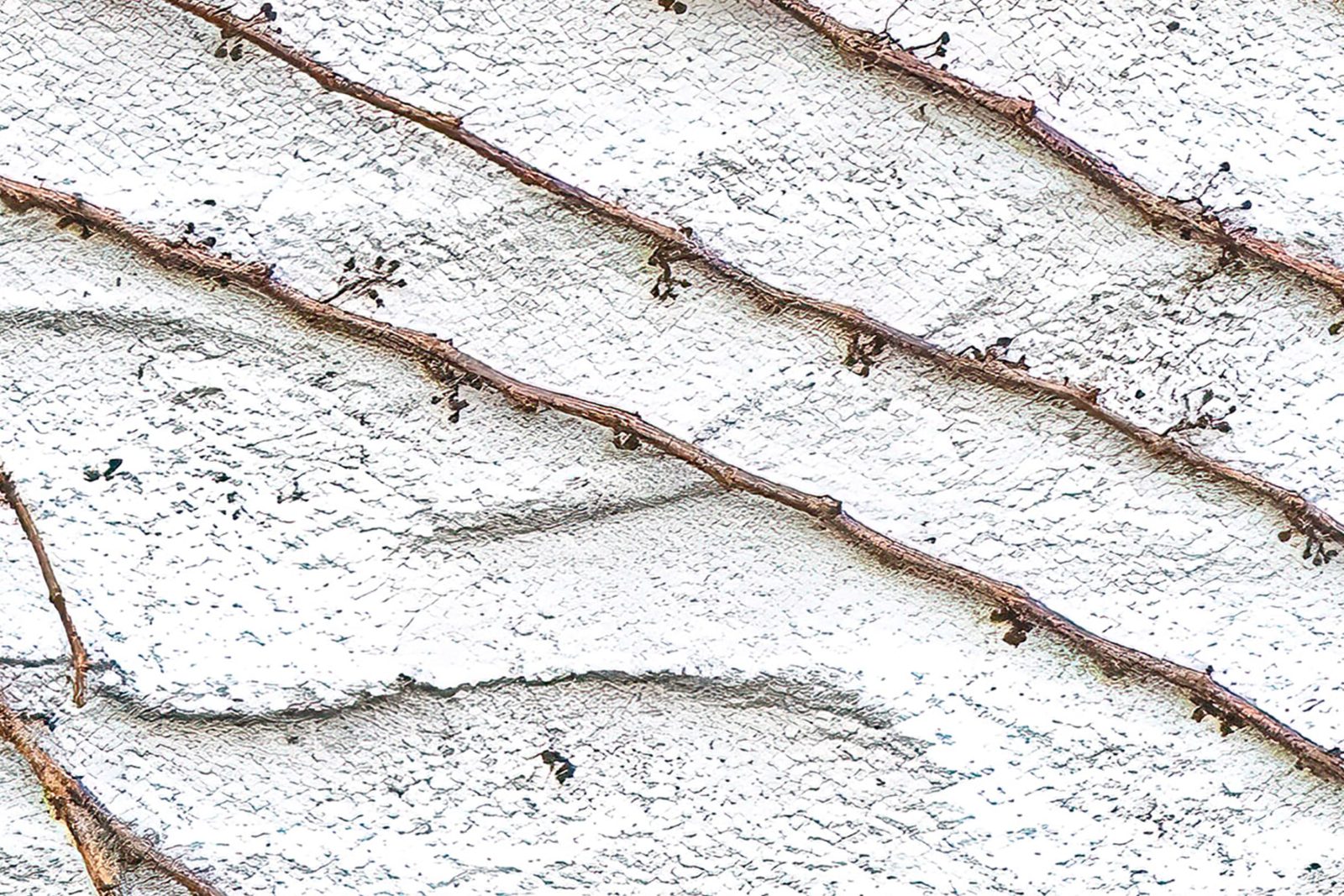 Fade Away, Rebel Walls 3