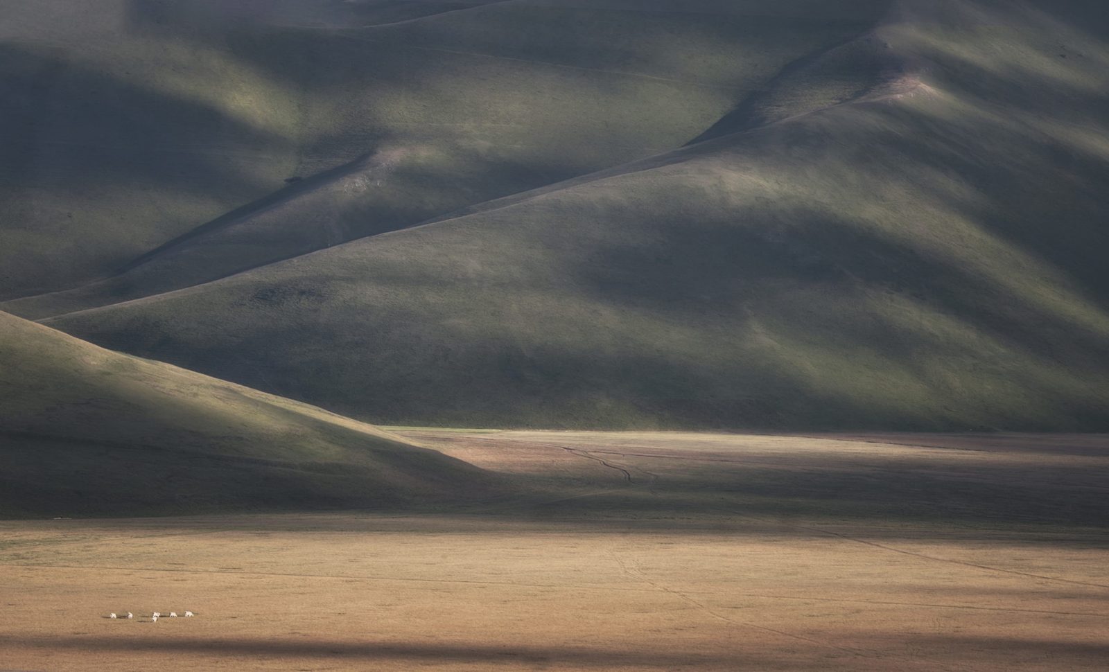 To the Hills, Rebel Walls