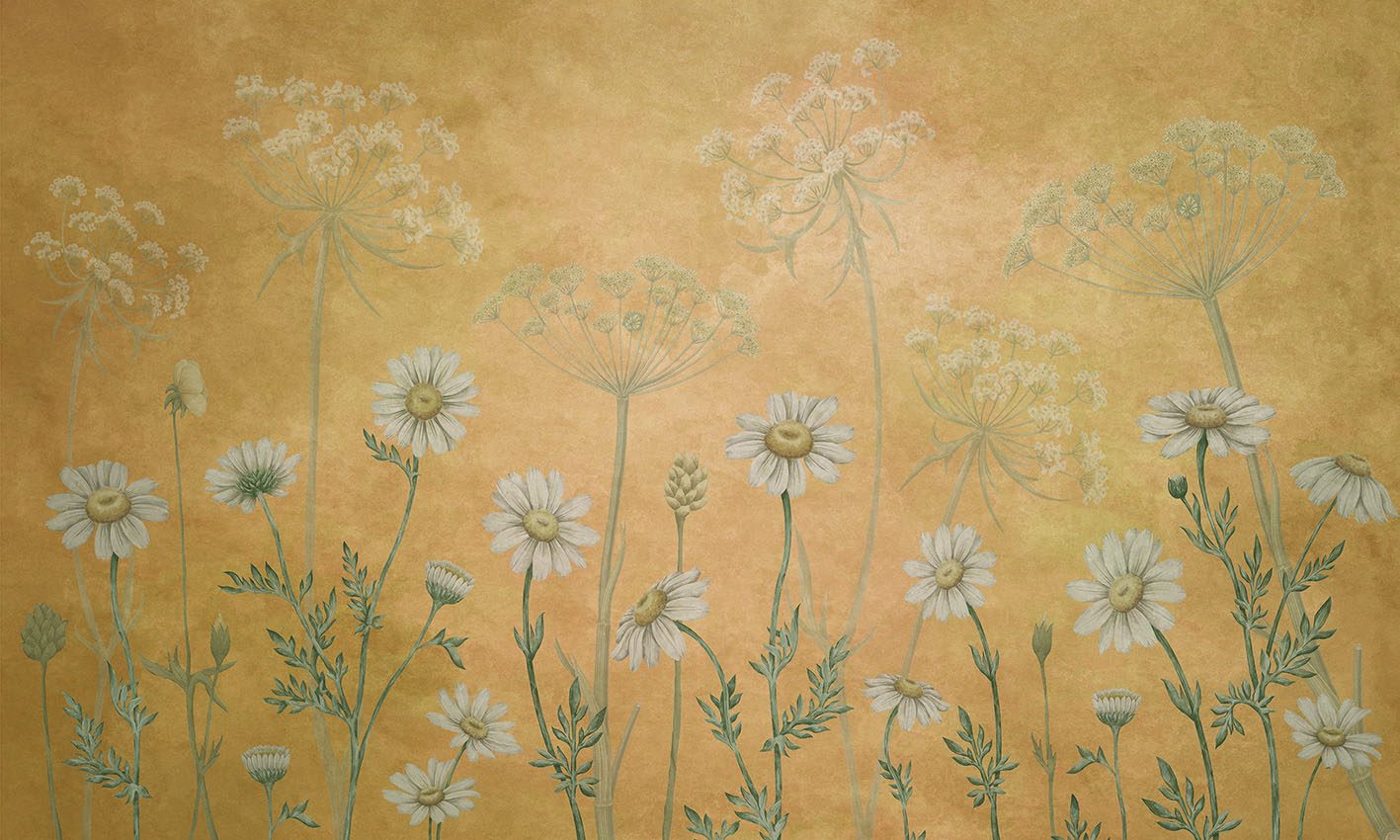 Dazzling Daisies - Yellow, Sir Edward